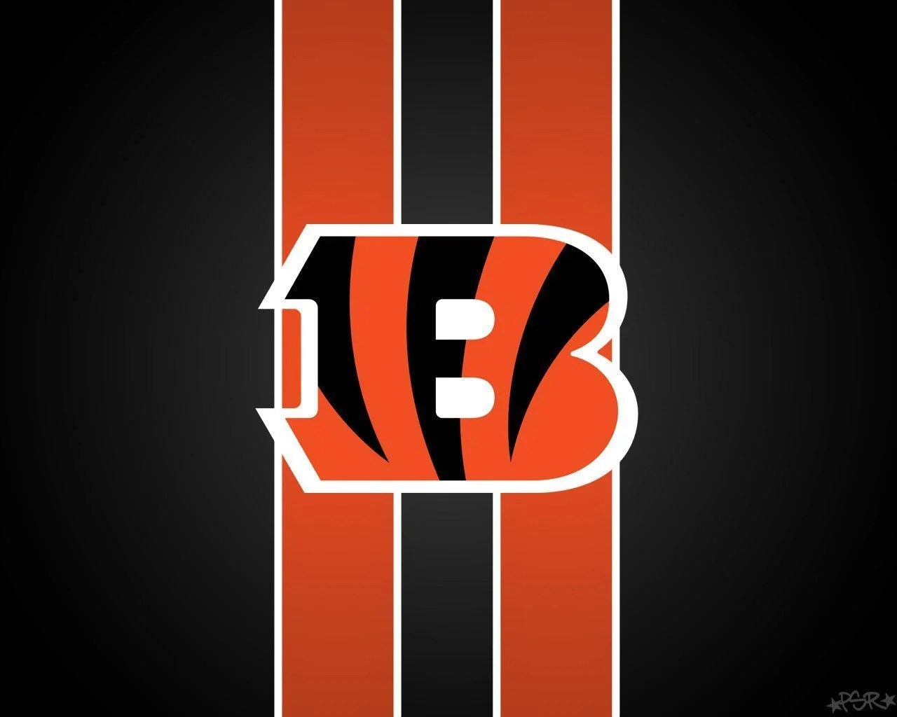 Cincinnati Bengals Wallpapers Top Free Cincinnati Bengals Backgrounds
