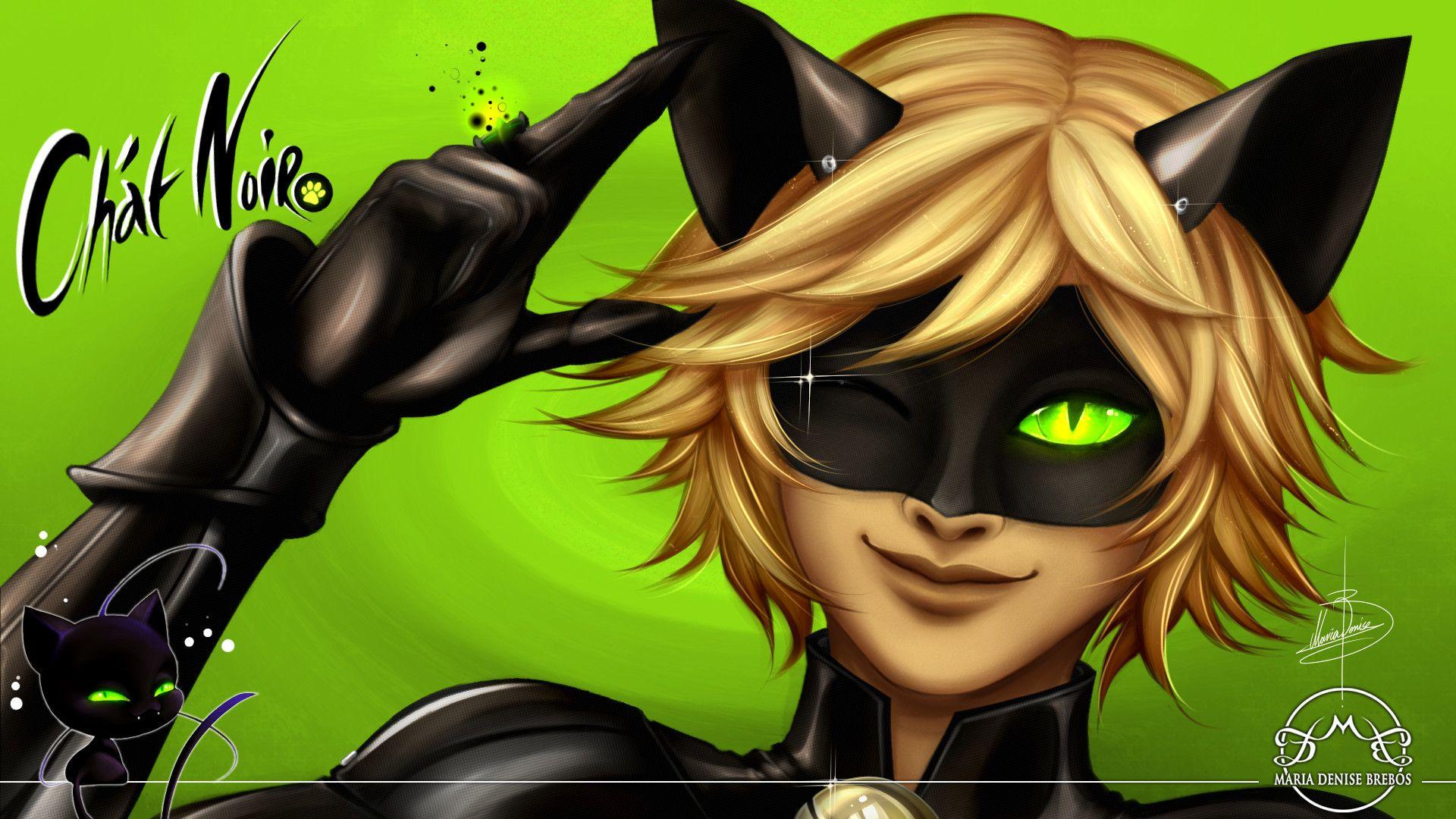 Cat Noir Wallpapers Top Free Cat Noir Backgrounds WallpaperAccess