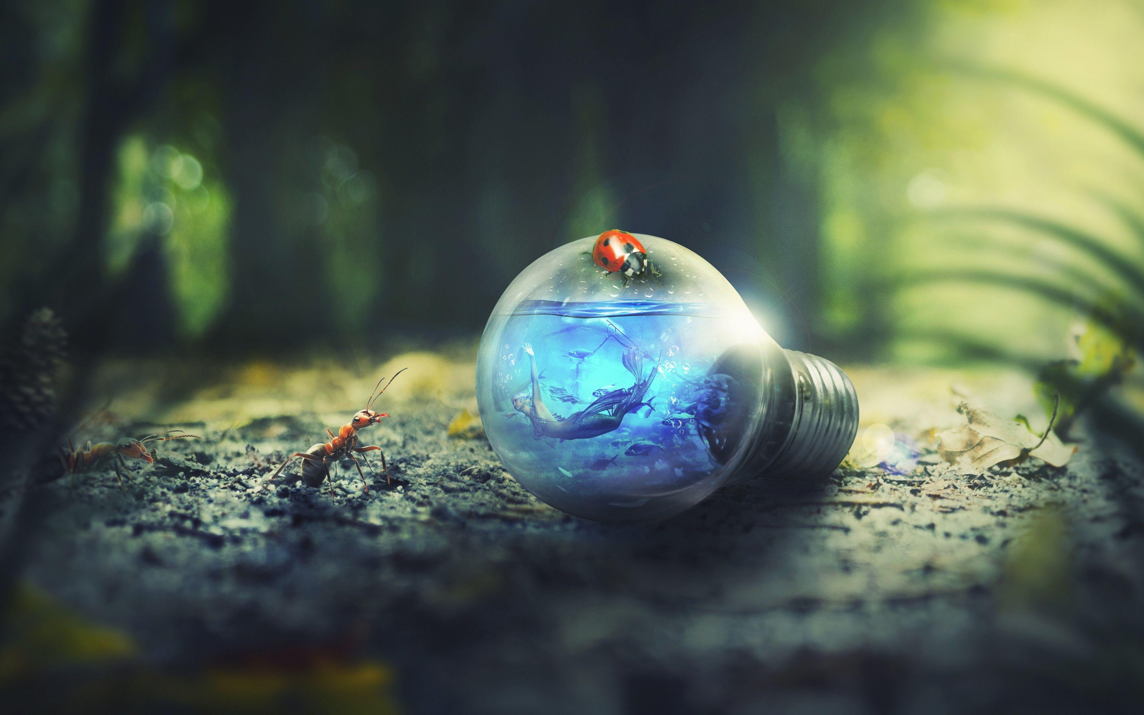 Ecology Wallpapers Top Free Ecology Backgrounds WallpaperAccess