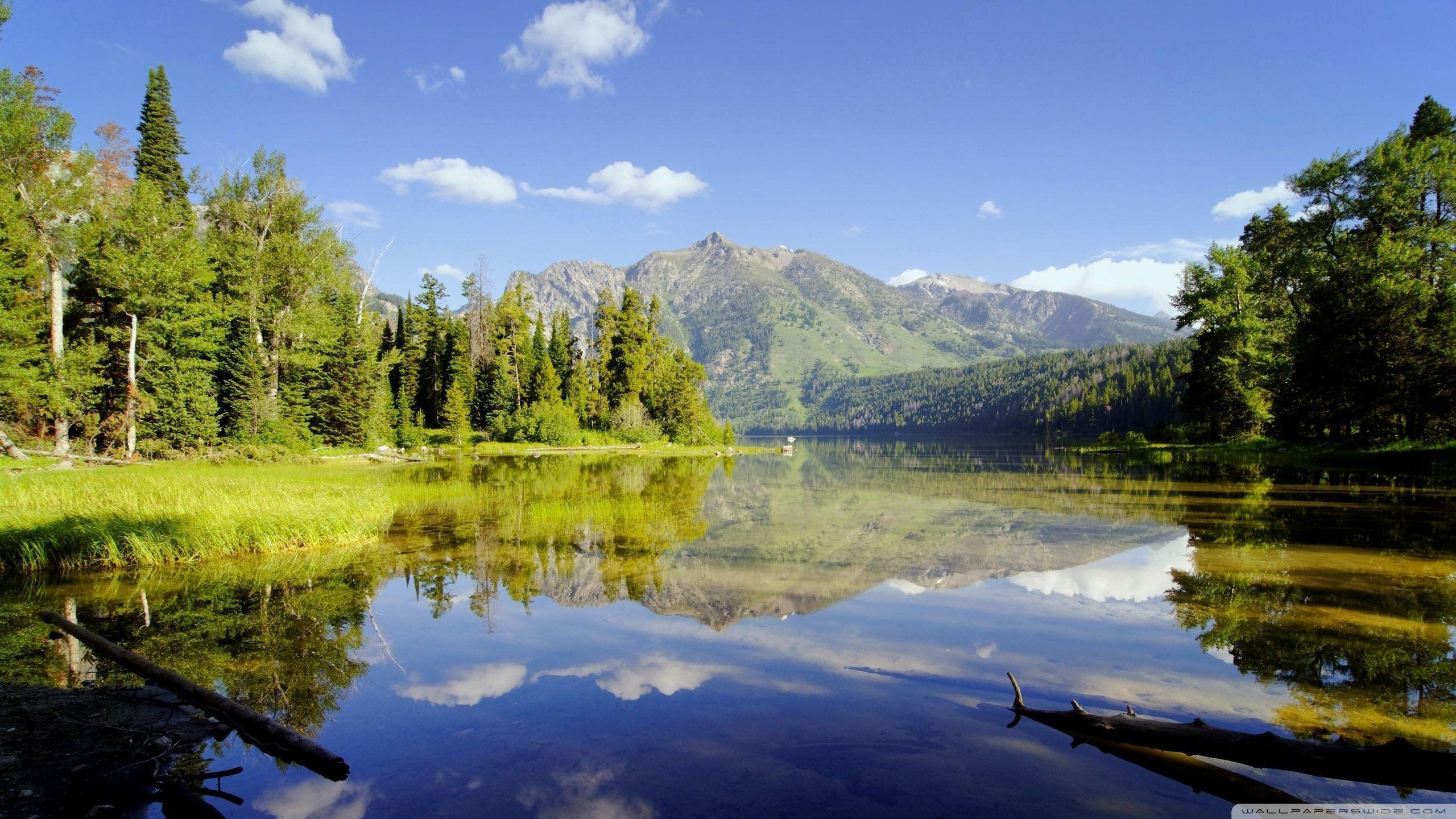 Wild Nature Wallpapers Top Free Wild Nature Backgrounds WallpaperAccess