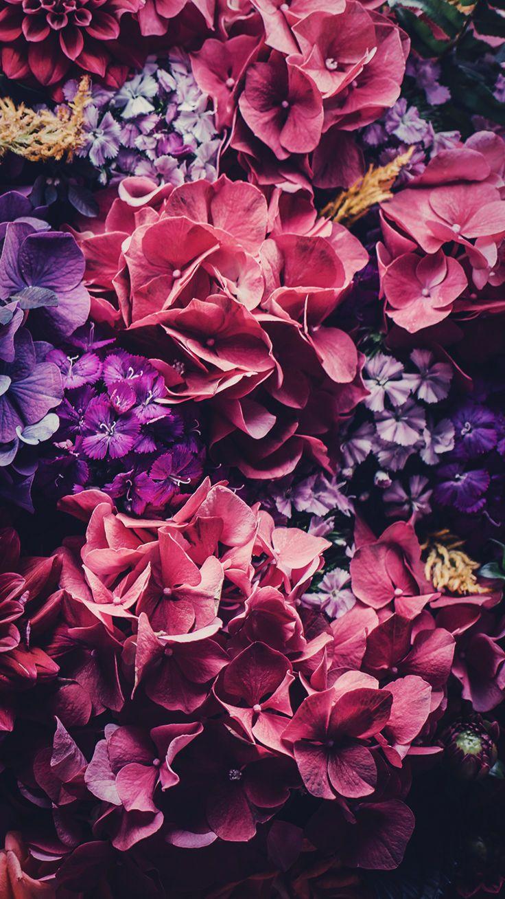 Purple Floral iPhone Wallpapers Top Free Purple Floral iPhone