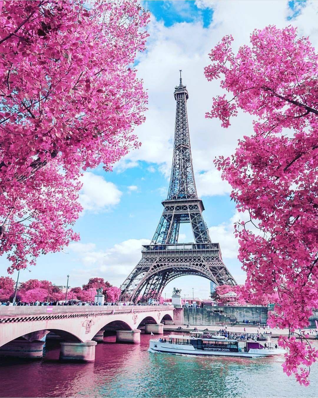 Pink Paris iPhone Wallpapers Top Free Pink Paris iPhone Backgrounds