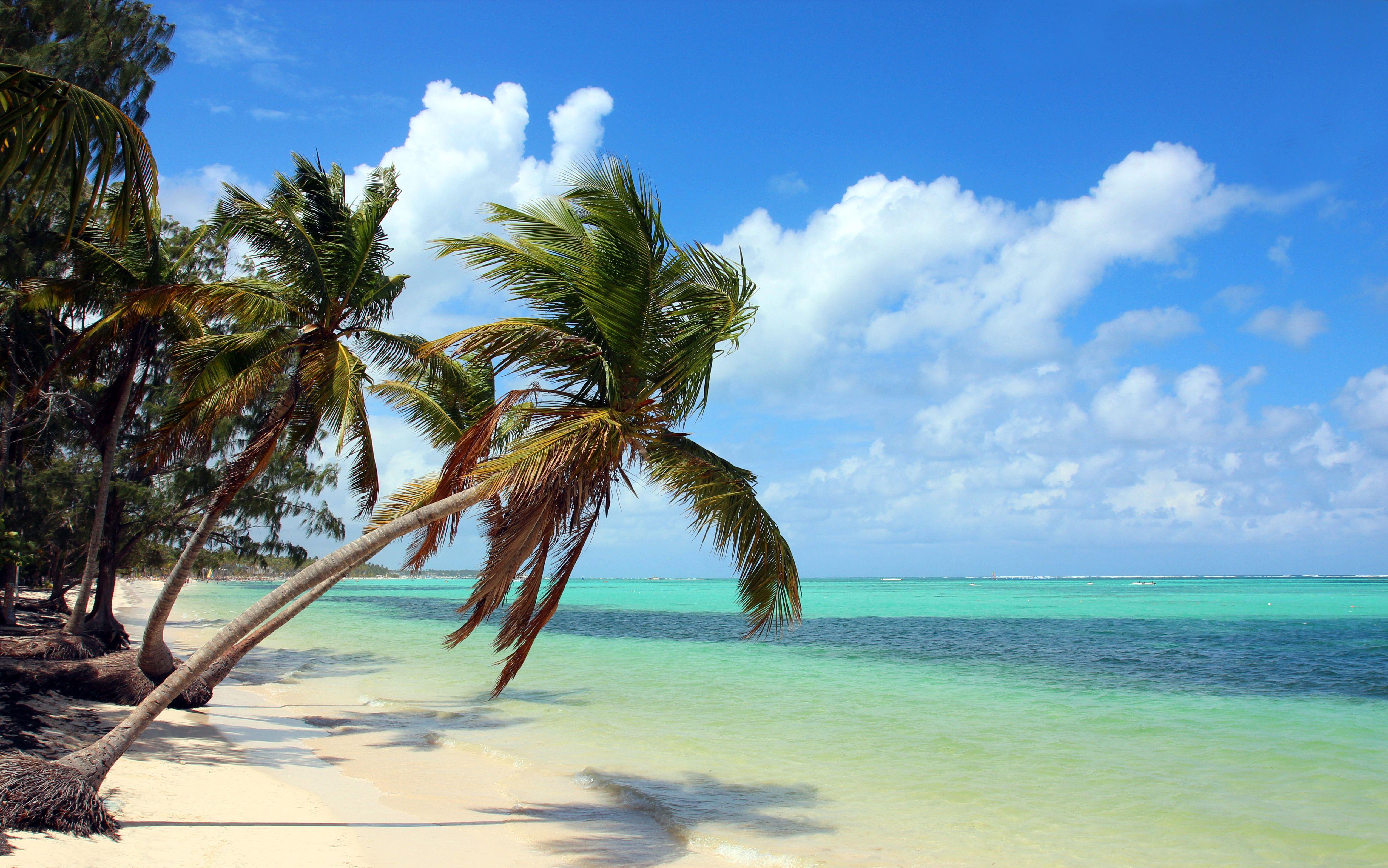 Punta Cana 4K Wallpapers Top Free Punta Cana 4K