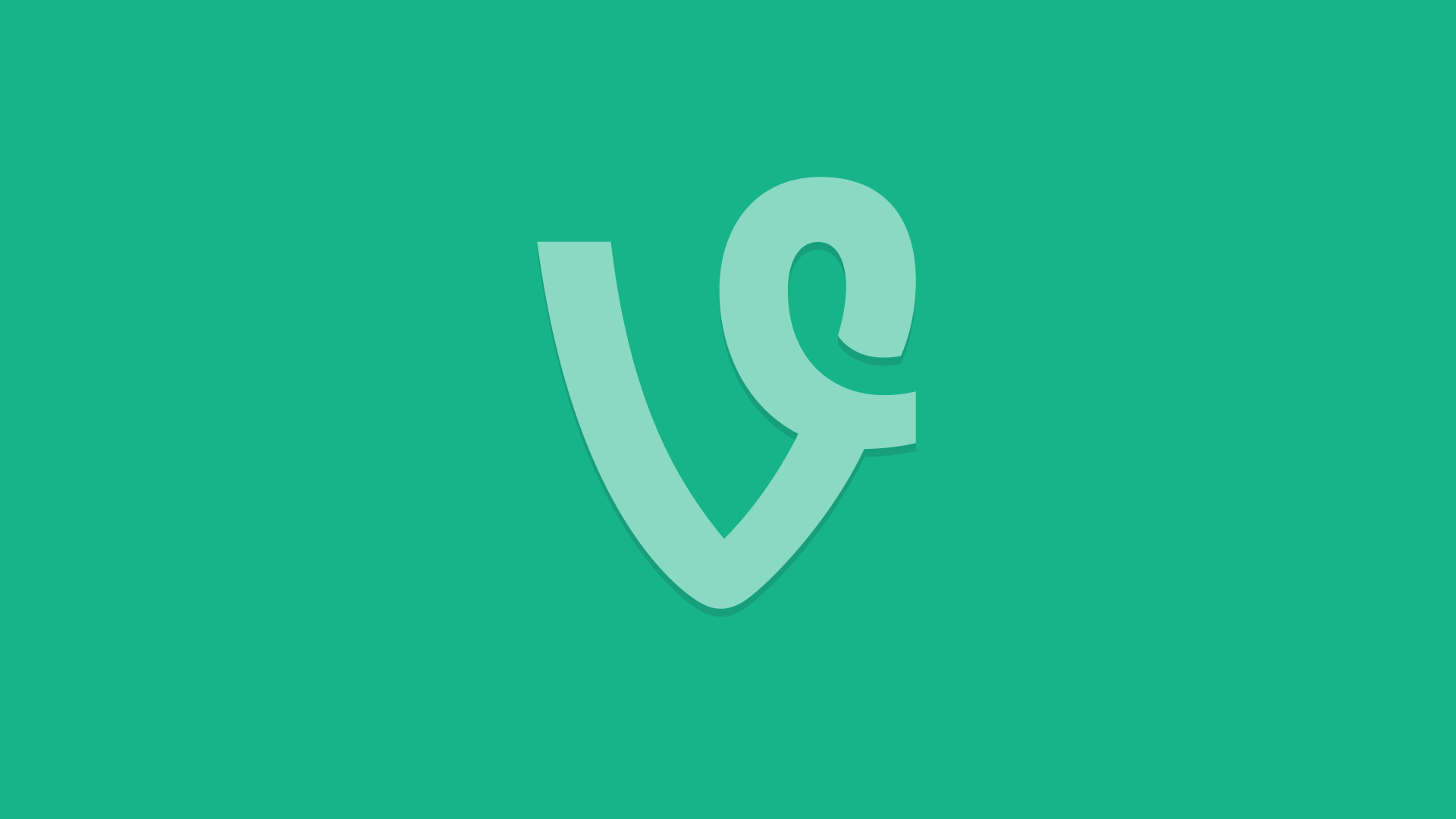 Vine Wallpapers Top Free Vine Backgrounds WallpaperAccess