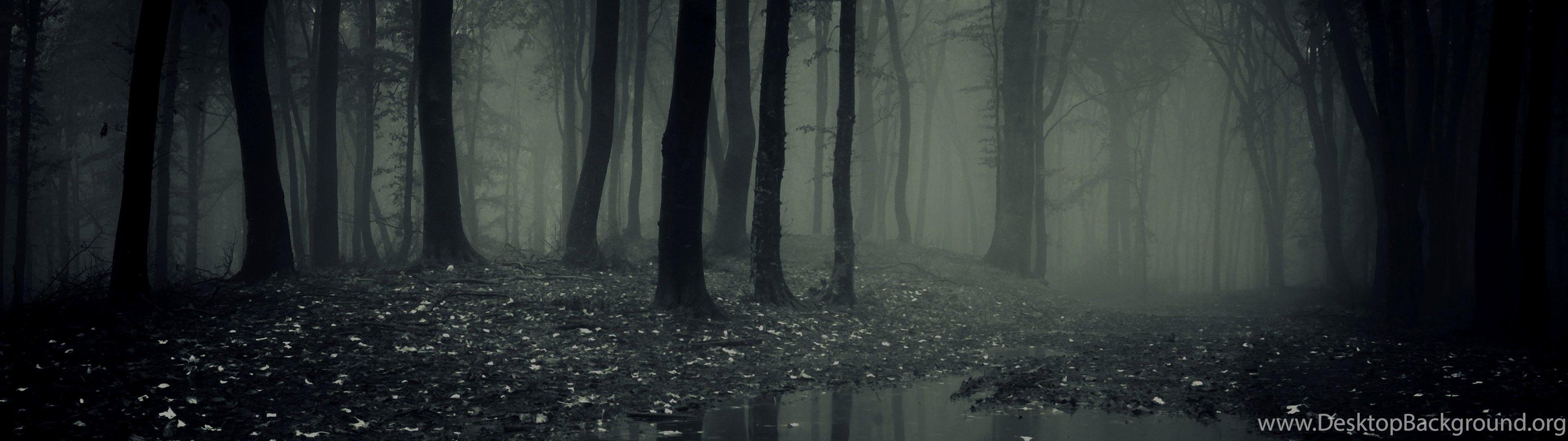 Dual Monitor Forest Wallpapers Top Free Dual Monitor