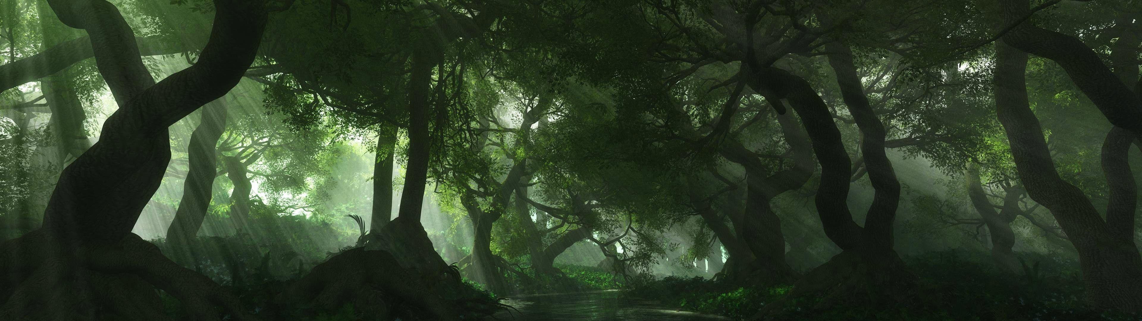 Dual Monitor Forest Wallpapers Top Free Dual Monitor