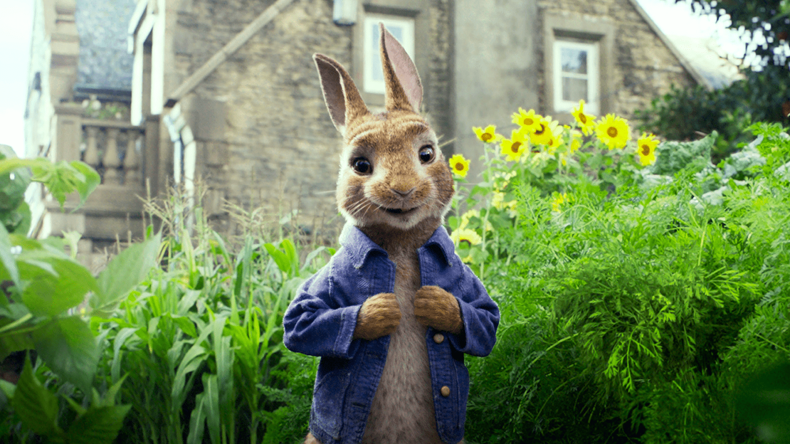 Peter Rabbit Wallpapers Top Free Peter Rabbit Backgrounds