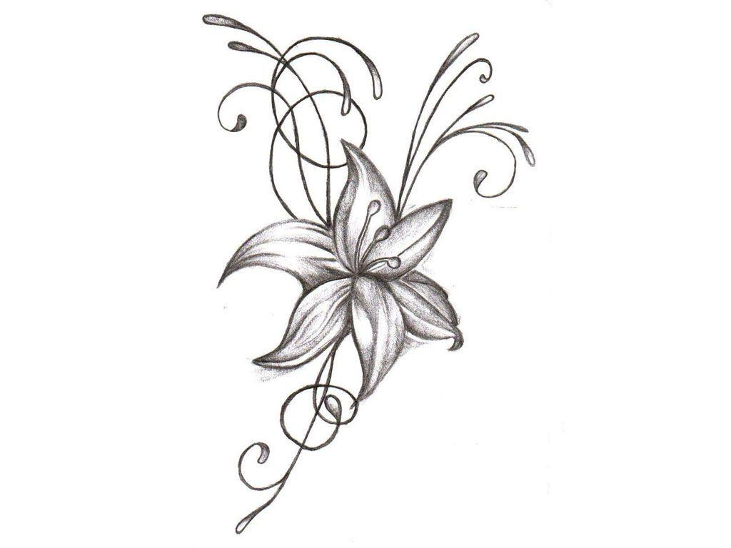 Flower Drawing Wallpapers Top Free Flower Drawing Backgrounds