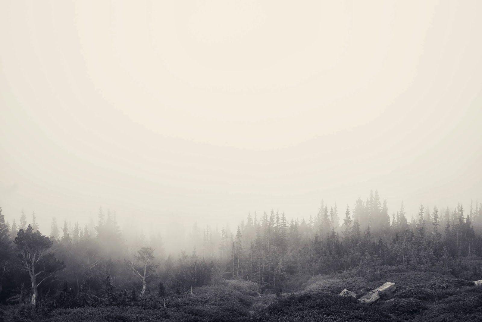 Telegram Wallpapers Top Free Telegram Backgrounds WallpaperAccess