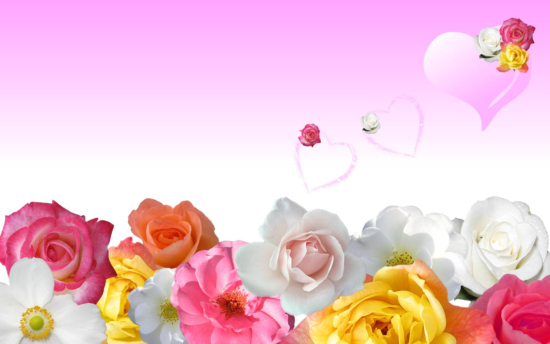 Cartoon Flower Wallpapers Top Free Cartoon Flower Backgrounds