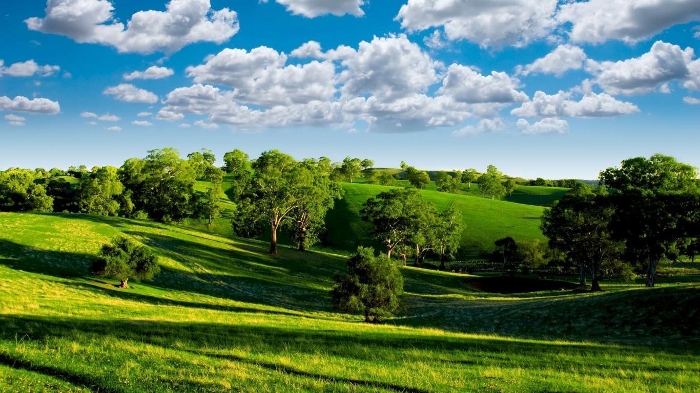 Green Landscape Wallpapers Top Free Green Landscape Backgrounds