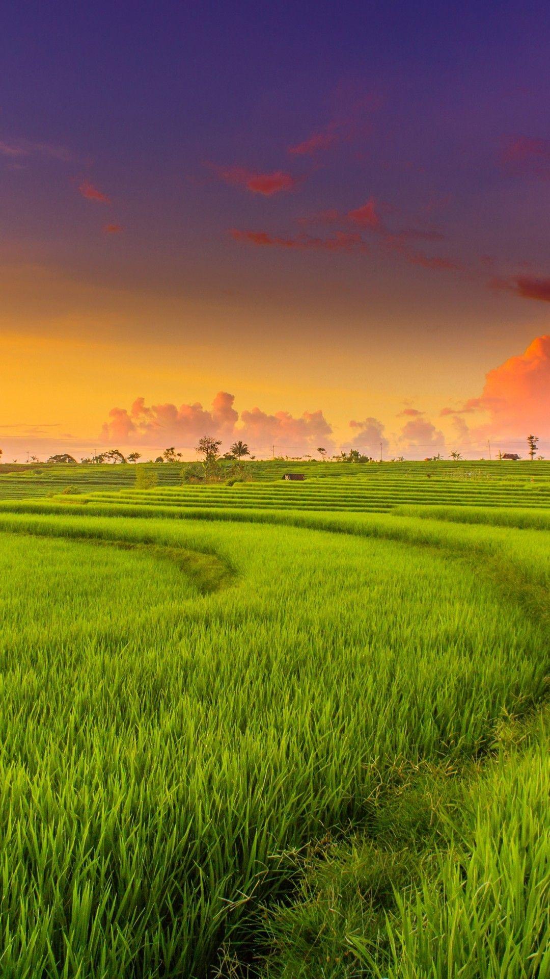 Green Landscape Wallpapers Top Free Green Landscape Backgrounds