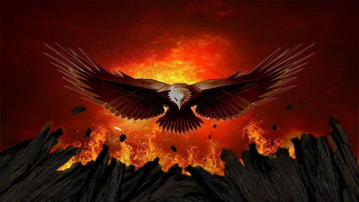 Fire Eagle Wallpapers Top Free Fire Eagle Backgrounds WallpaperAccess