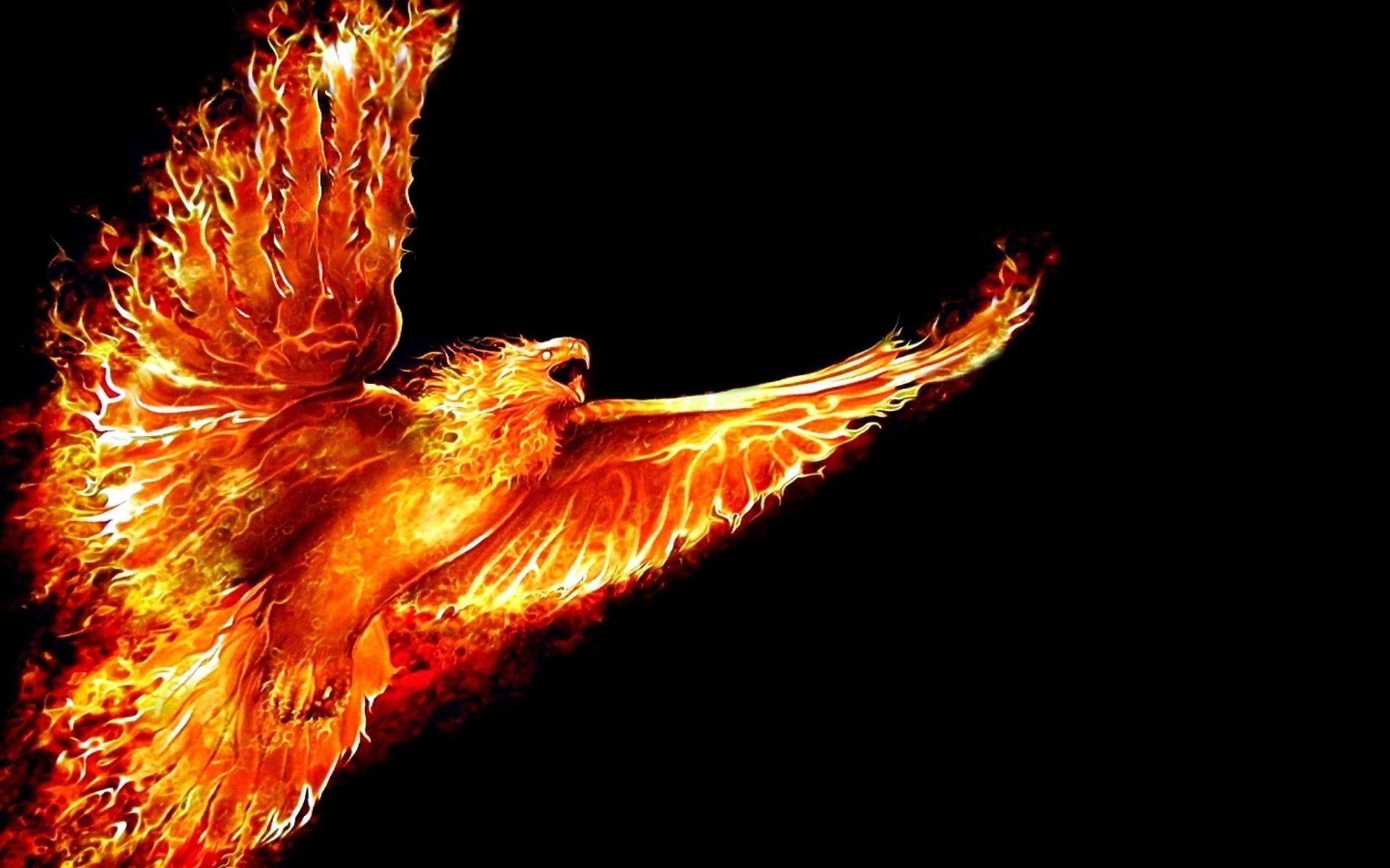 Fire Eagle Wallpapers Top Free Fire Eagle Backgrounds WallpaperAccess