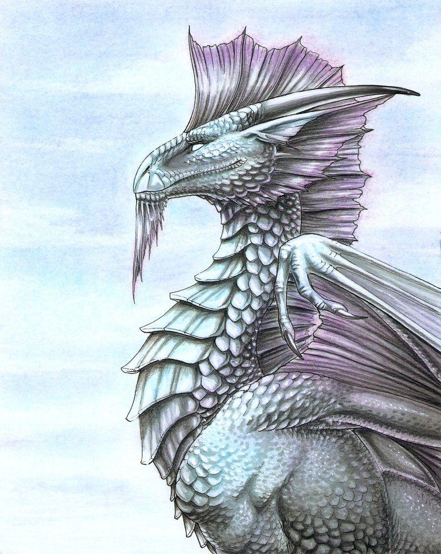 Silver Dragon Wallpapers Top Free Silver Dragon Backgrounds