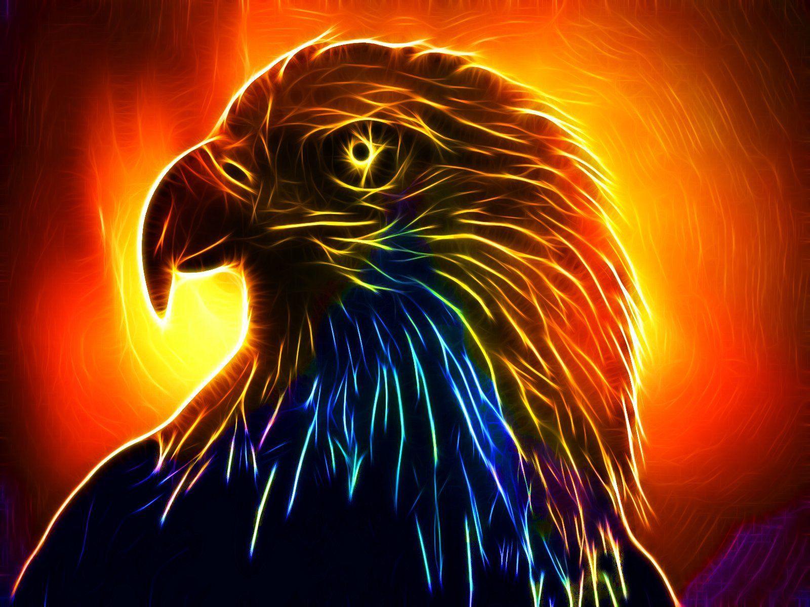 Fire Eagle Wallpapers Top Free Fire Eagle Backgrounds WallpaperAccess