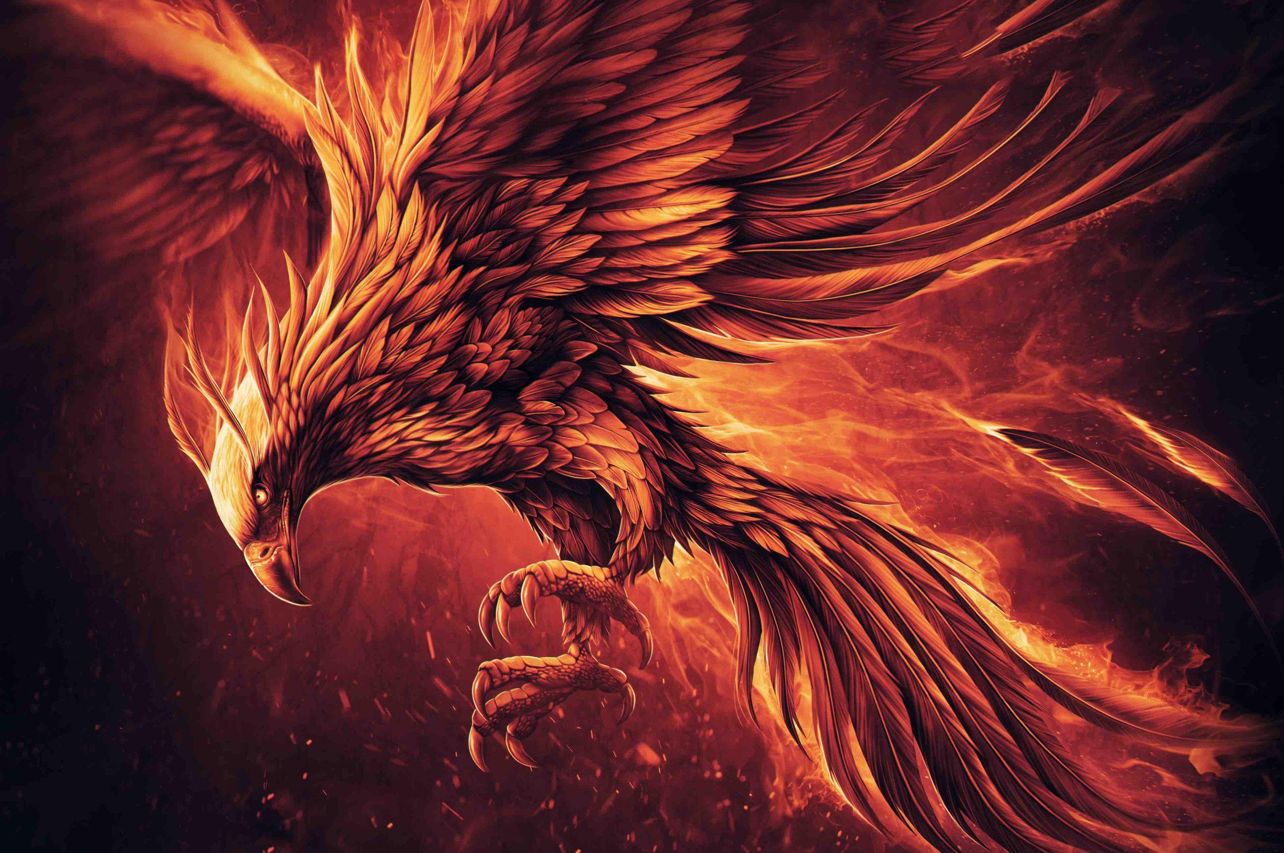 Fire Eagle Wallpapers Top Free Fire Eagle Backgrounds WallpaperAccess