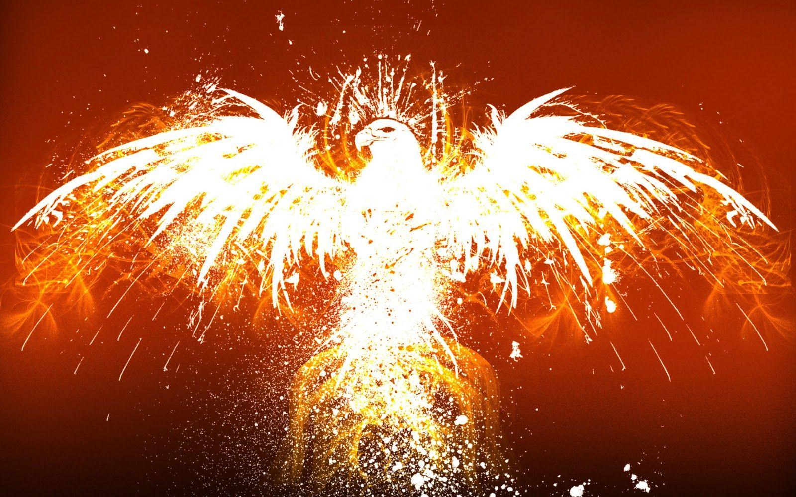 Fire Eagle Wallpapers Top Free Fire Eagle Backgrounds WallpaperAccess