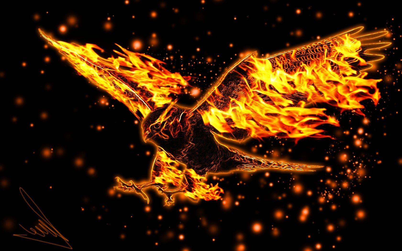 Fire Eagle Wallpapers Top Free Fire Eagle Backgrounds WallpaperAccess
