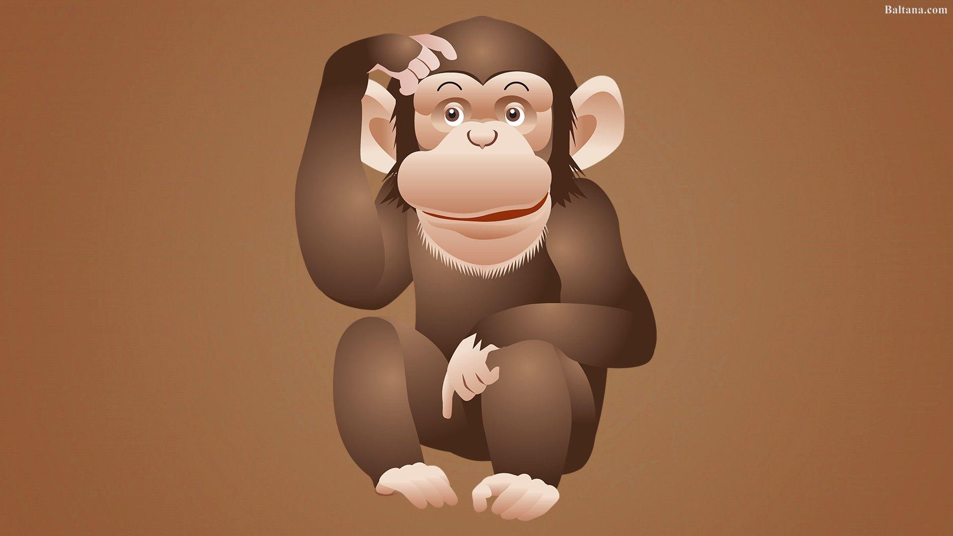 Cartoon Monkey Wallpapers Top Free Cartoon Monkey Backgrounds