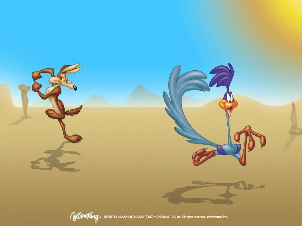Roadrunner Wallpapers Top Free Roadrunner Backgrounds WallpaperAccess