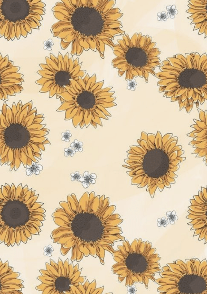 Sunflower Art Wallpapers Top Free Sunflower Art Backgrounds