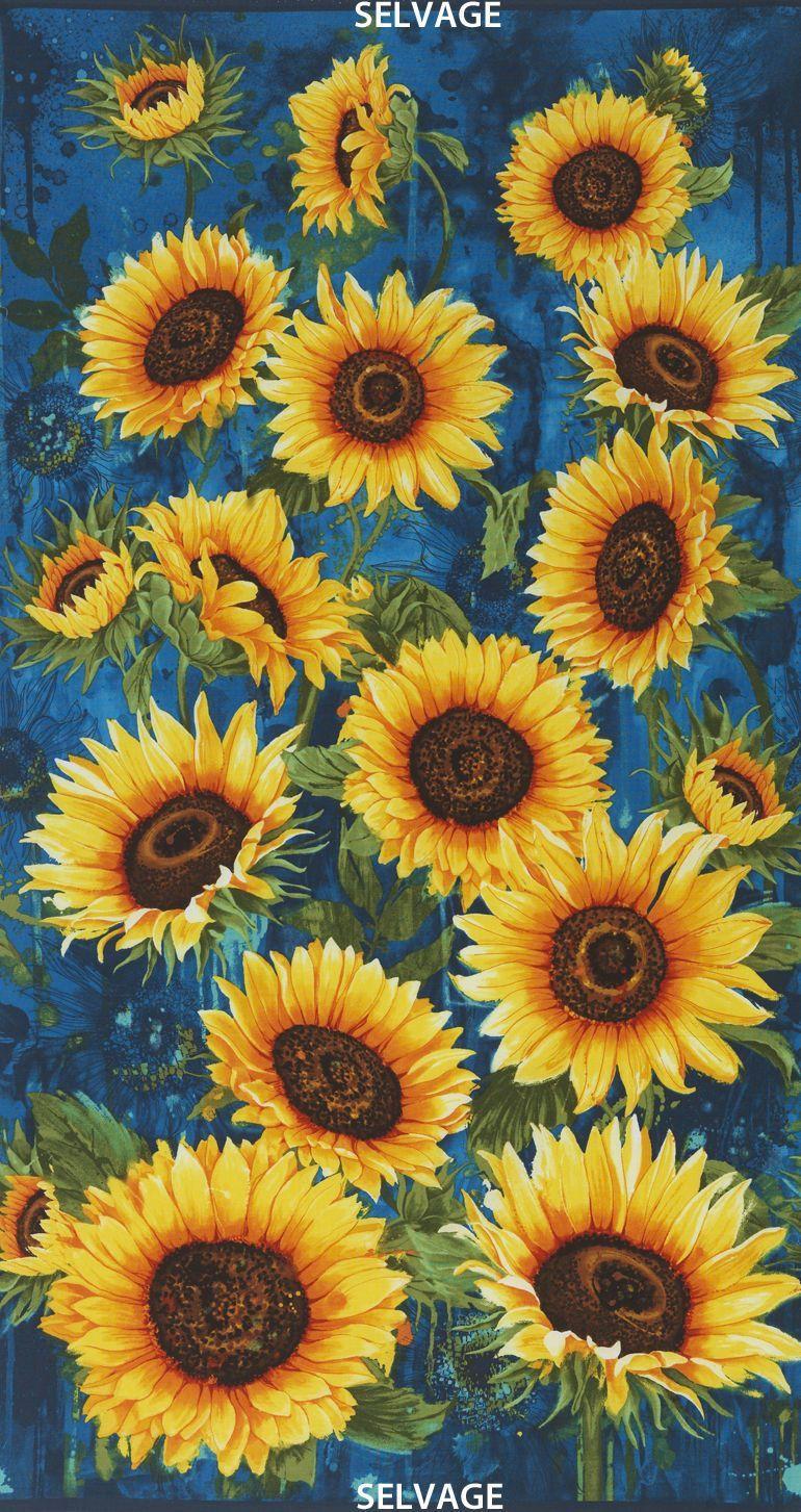 Sunflower Art Wallpapers Top Free Sunflower Art Backgrounds