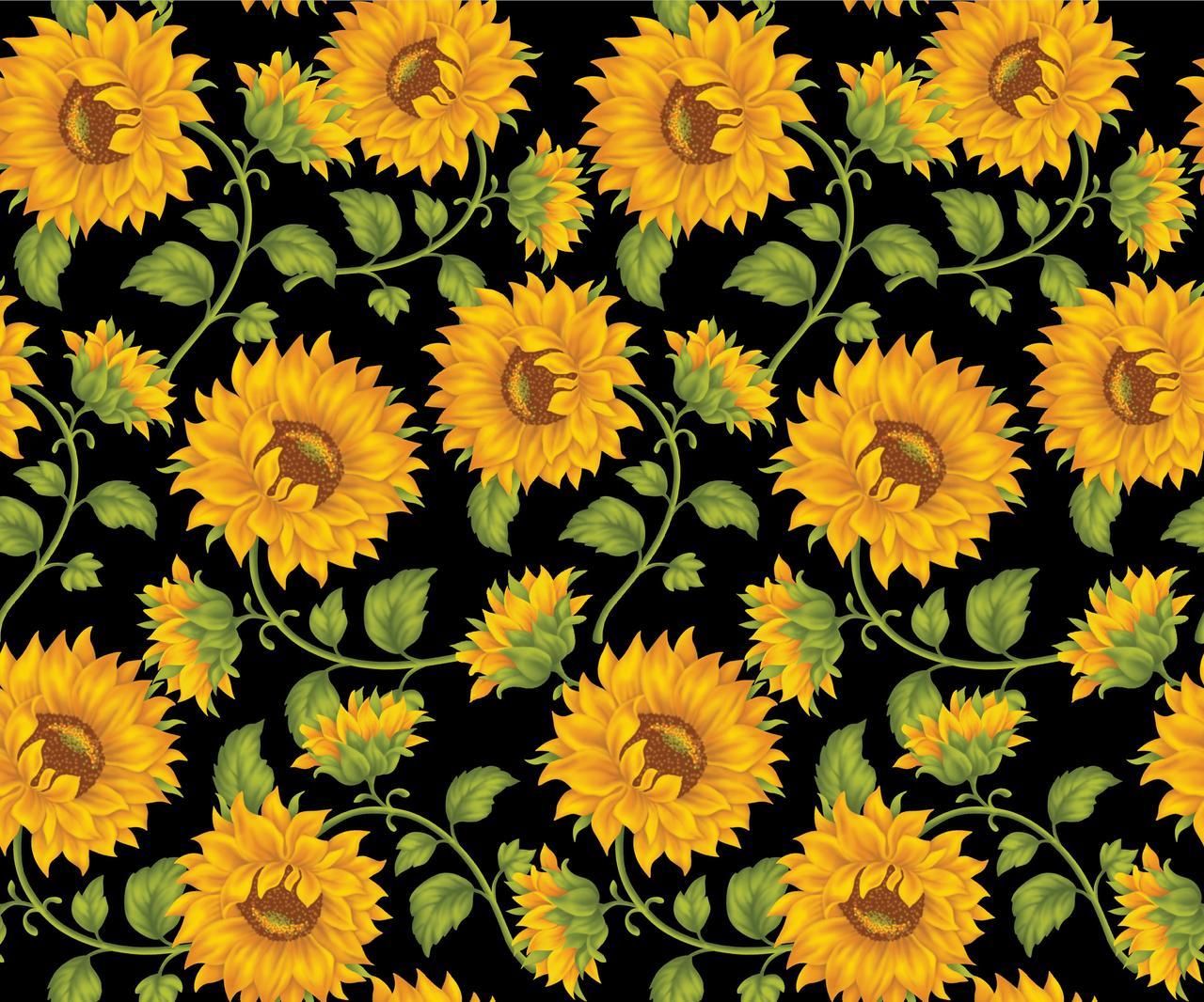 Sunflower Art Wallpapers Top Free Sunflower Art Backgrounds