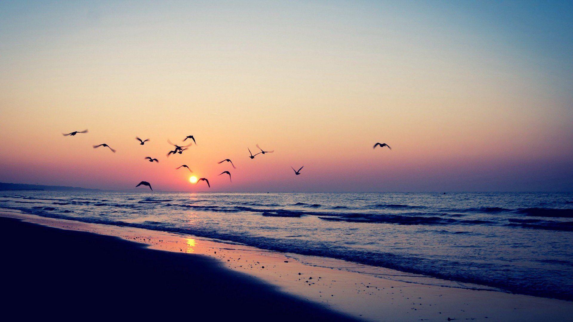Aesthetic Beach Laptop Wallpapers Top Free Aesthetic Beach Laptop