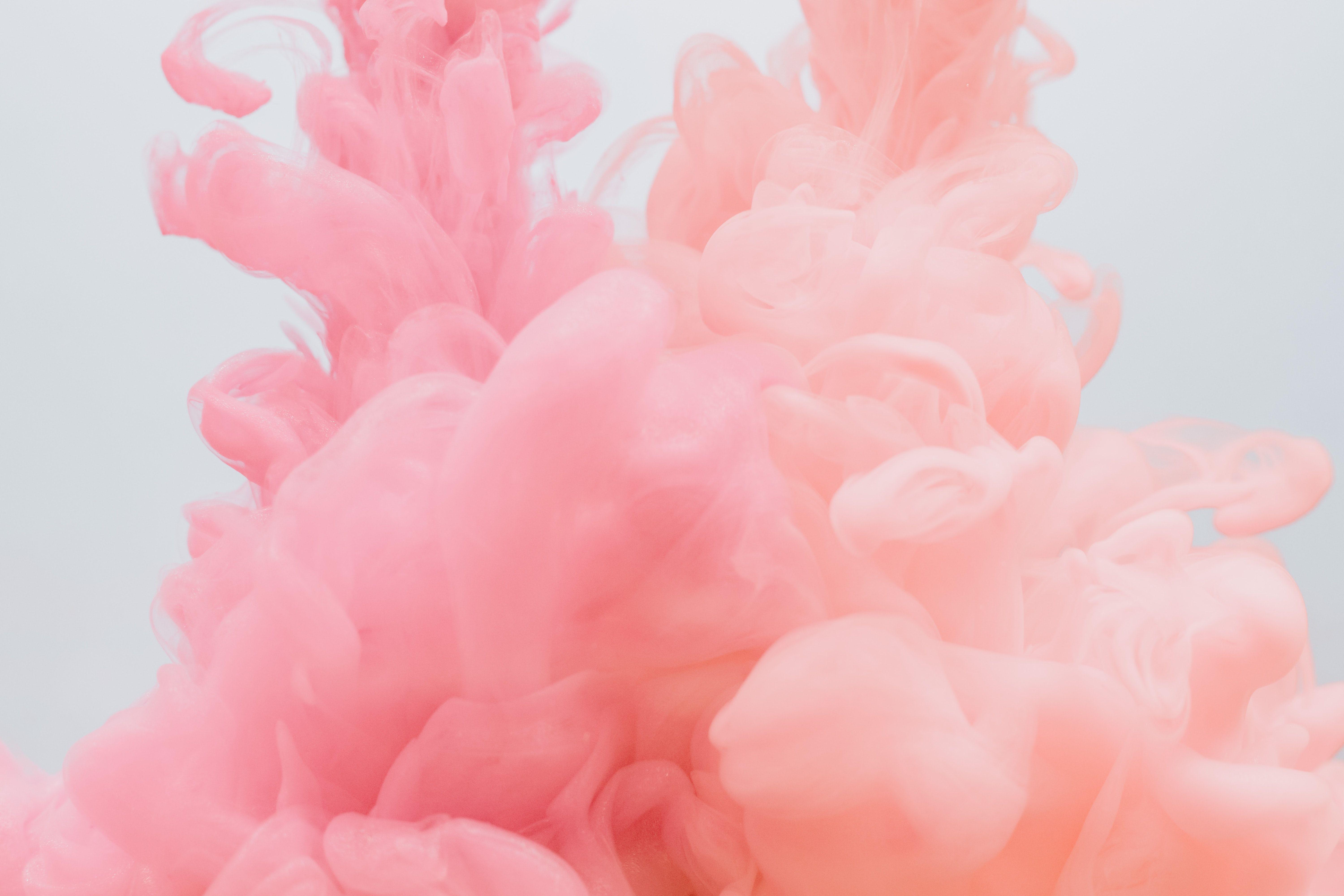VSCO Flowers Desktop Wallpapers Top Free VSCO Flowers