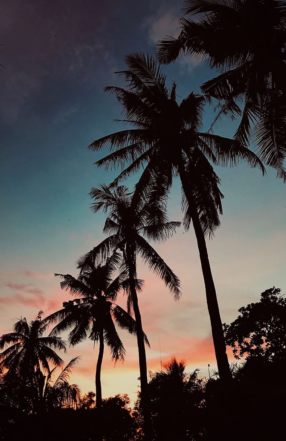 Cebu Wallpapers Top Free Cebu Backgrounds WallpaperAccess