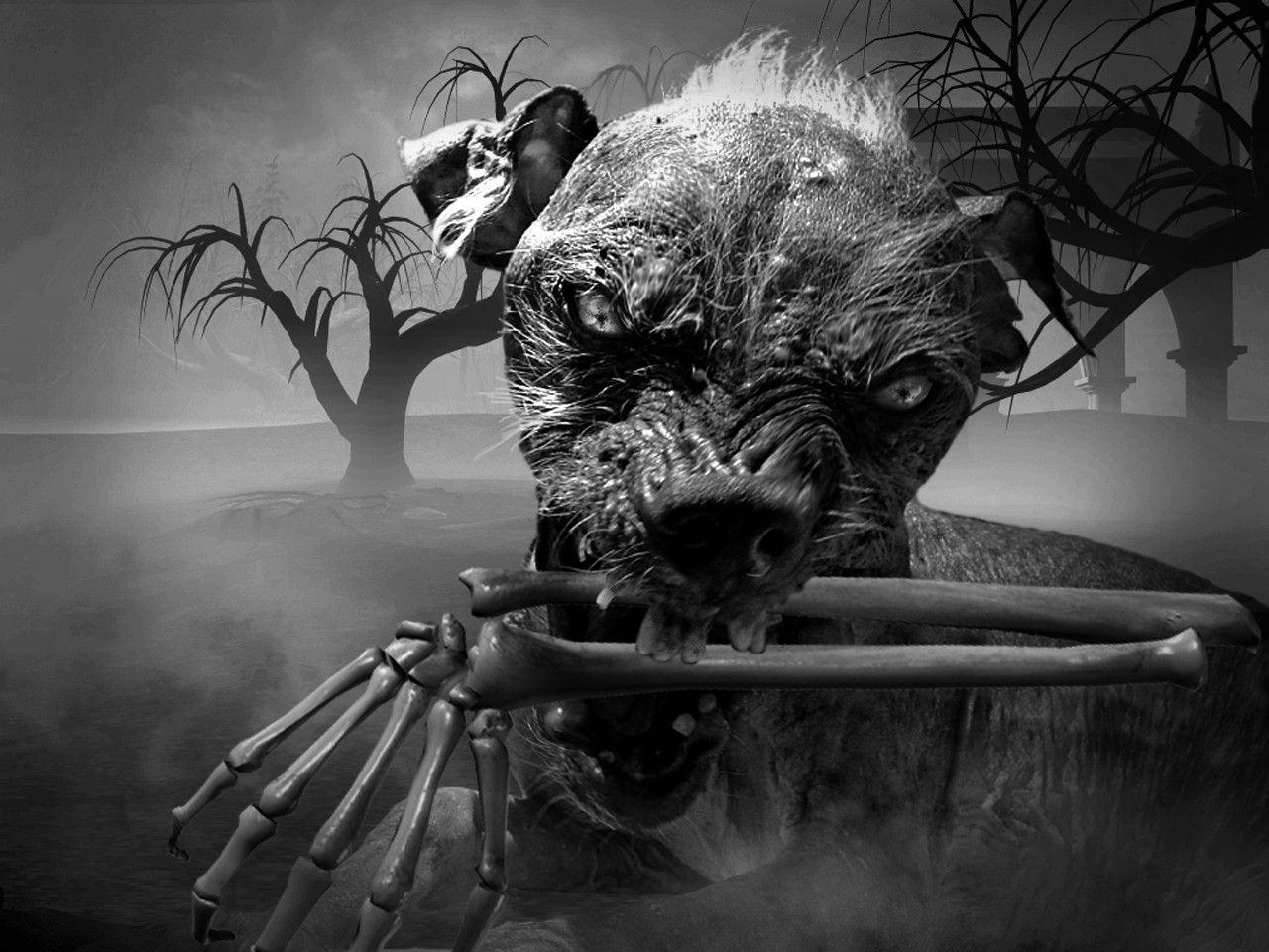 3D Art Wallpapers Top Free 3D Art Backgrounds WallpaperAccess