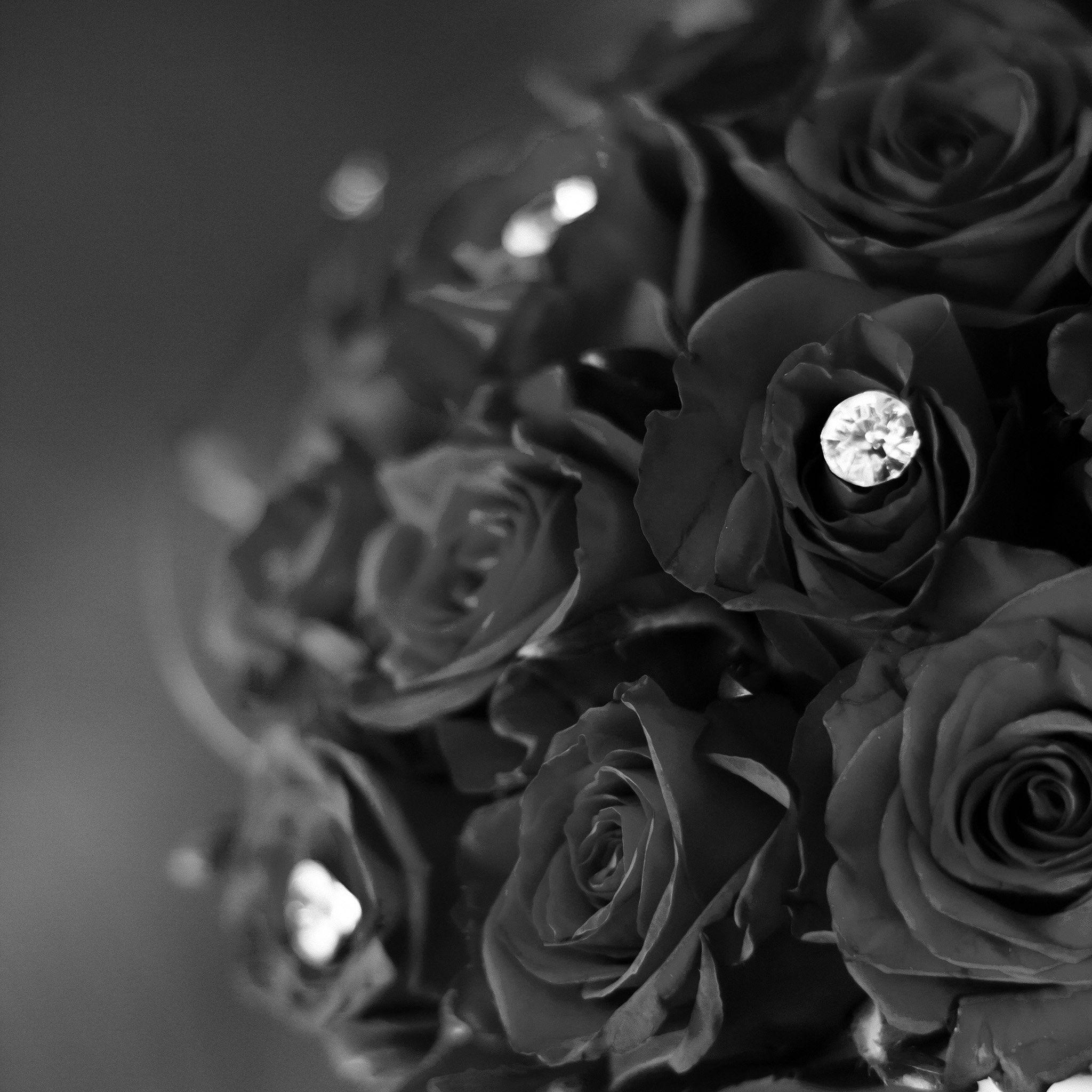 Black Roses Wallpapers Top Free Black Roses Backgrounds WallpaperAccess