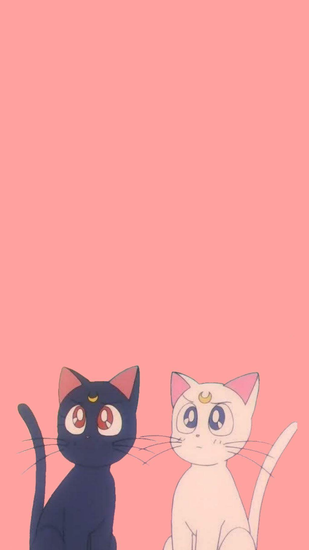 Pink Aesthetic Wallpaper Cats Goimages Quack