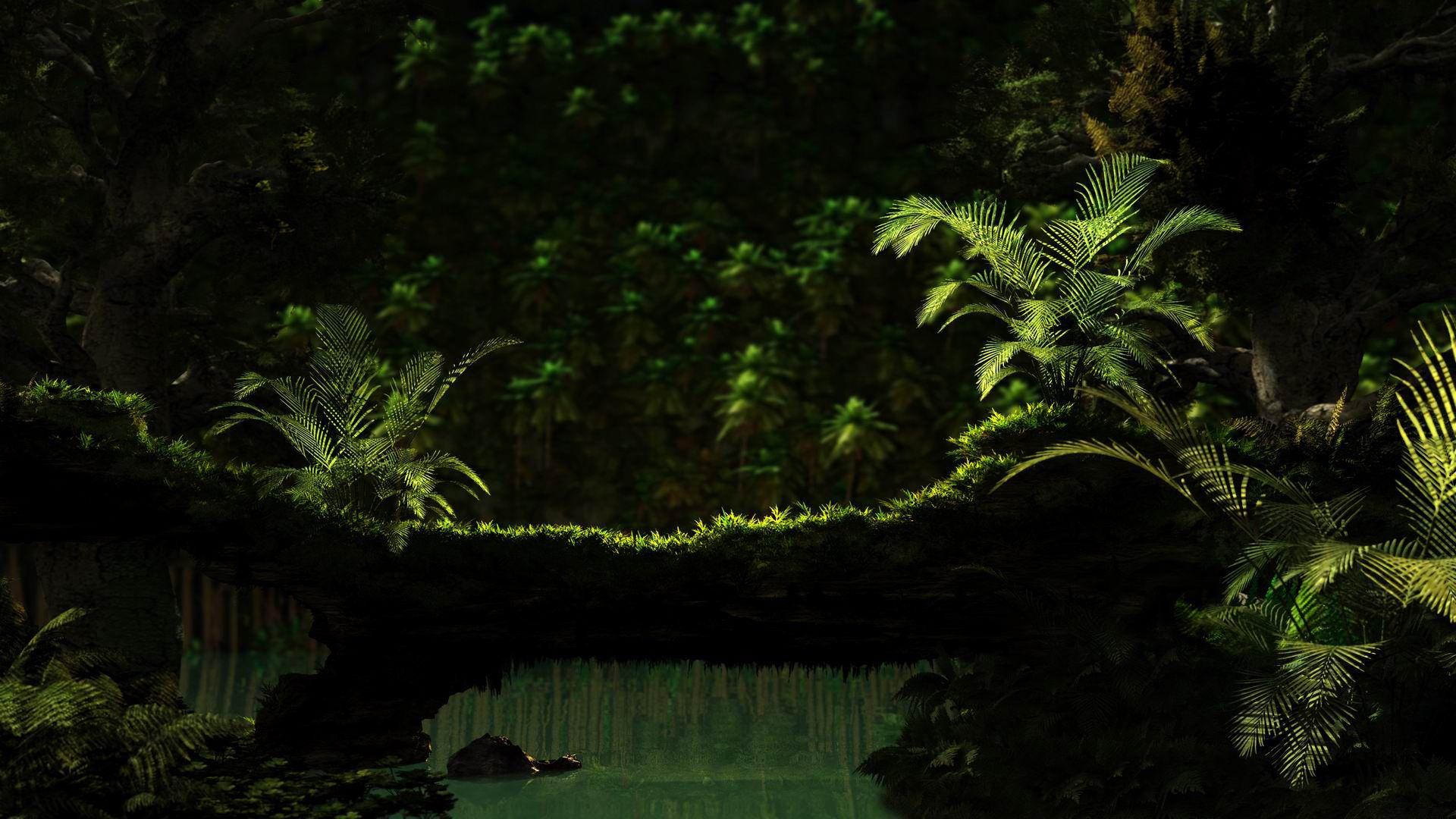 Dark Jungle Wallpapers Top Free Dark Jungle Backgrounds WallpaperAccess