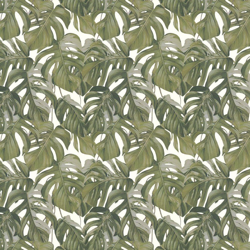 Jungle Leaves Wallpapers Top Free Jungle Leaves Backgrounds