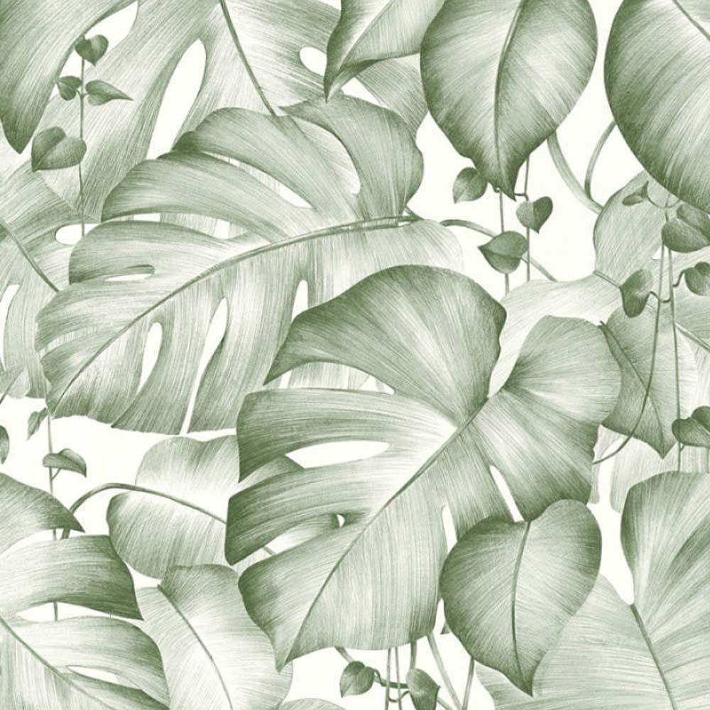 Jungle Leaves Wallpapers Top Free Jungle Leaves Backgrounds