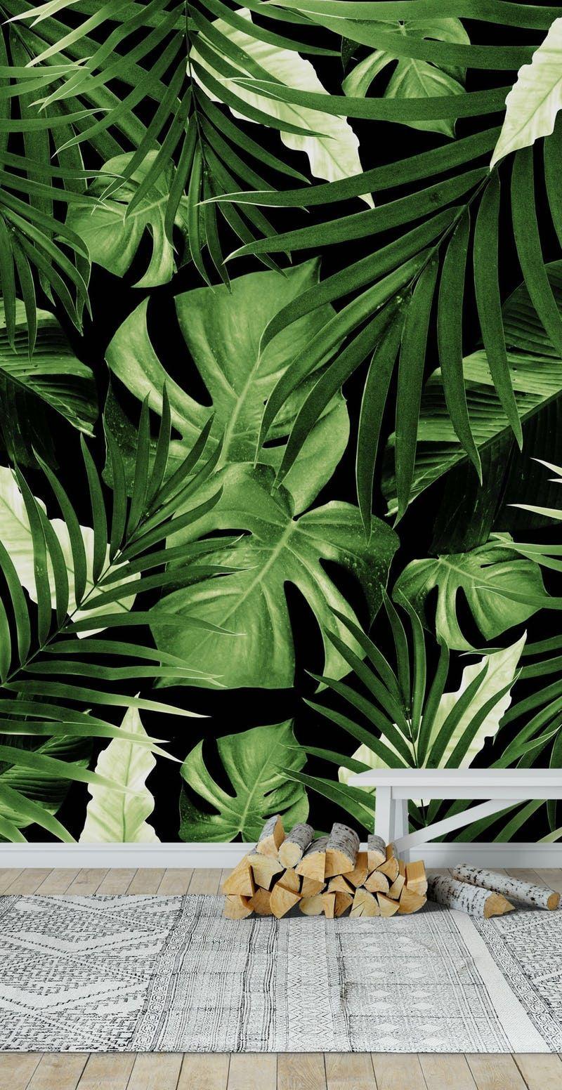 Jungle Leaves Wallpapers Top Free Jungle Leaves Backgrounds WallpaperAccess