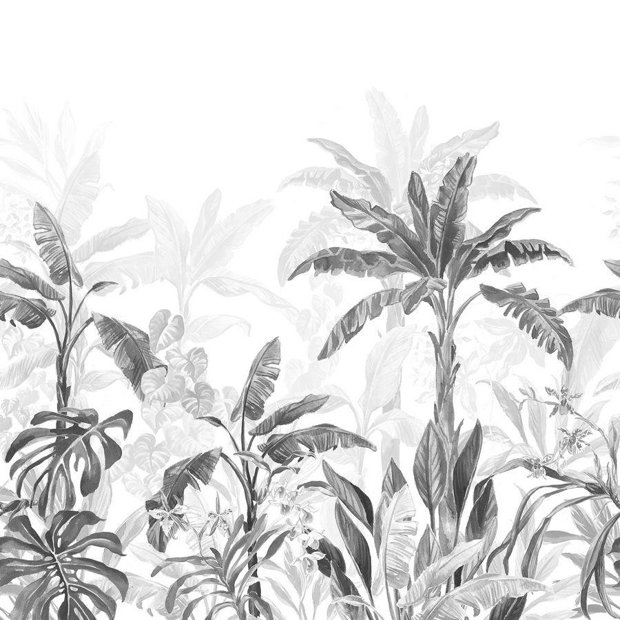 Jungle Leaves Wallpapers Top Free Jungle Leaves Backgrounds