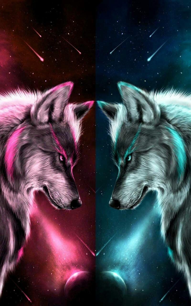 Water and Fire Wolf Wallpapers Top Free Water and Fire Wolf