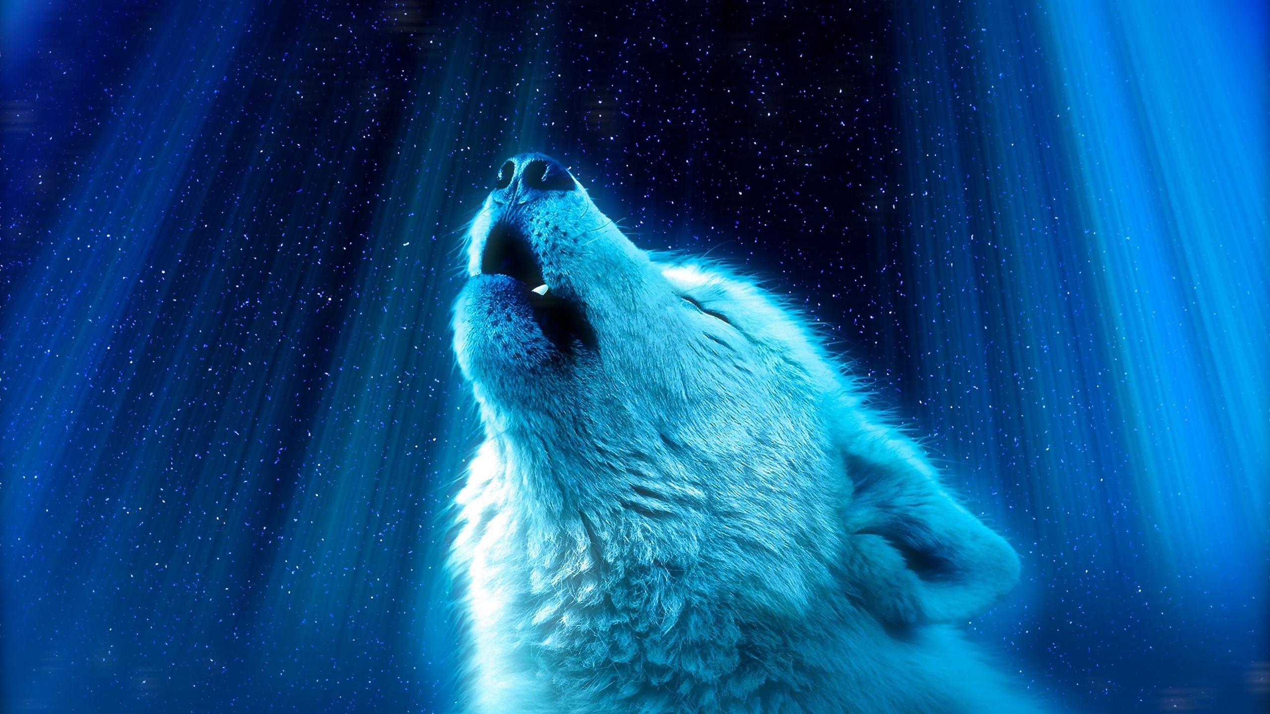 Blue Wolves Wallpapers Top Free Blue Wolves Backgrounds WallpaperAccess