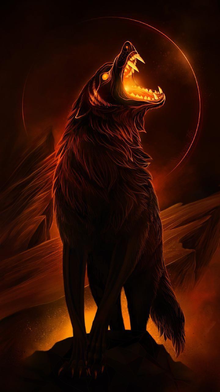 Cool Fire Wolf Wallpapers Top Free Cool Fire Wolf Backgrounds