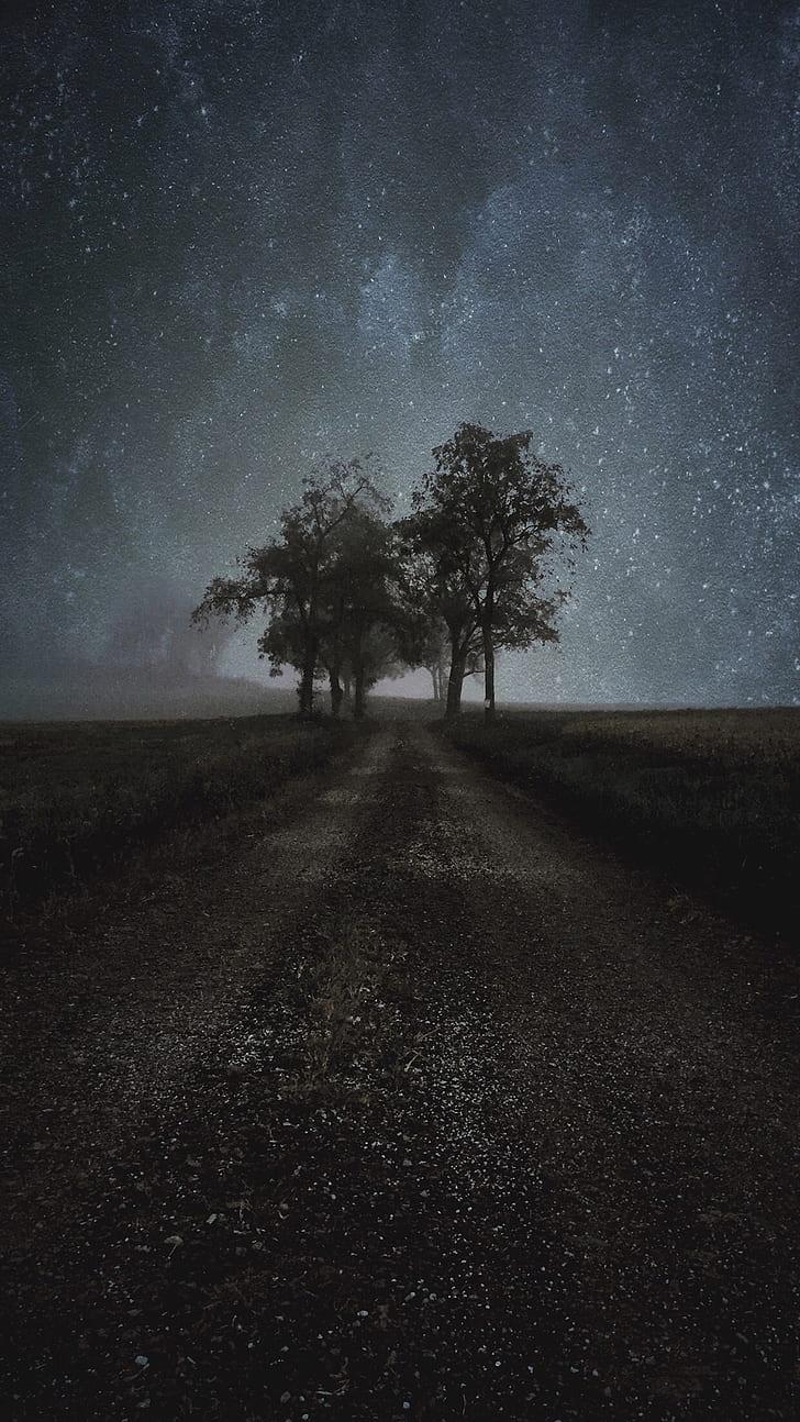 4K Vertical Wallpapers Top Free 4K Vertical Backgrounds WallpaperAccess