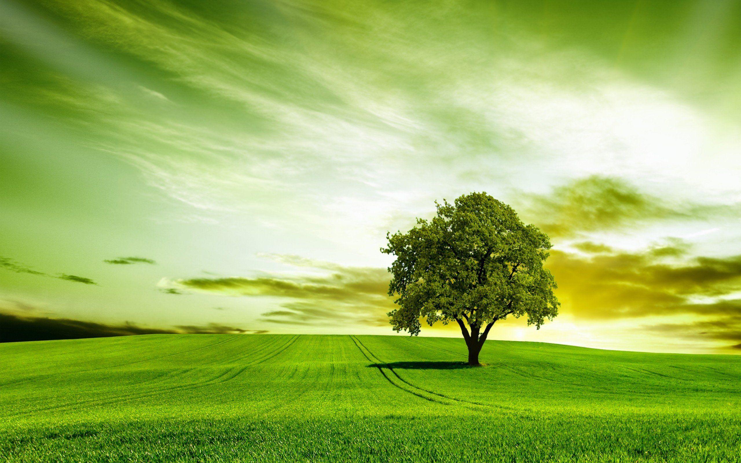 Green Sky Wallpapers Top Free Green Sky Backgrounds WallpaperAccess