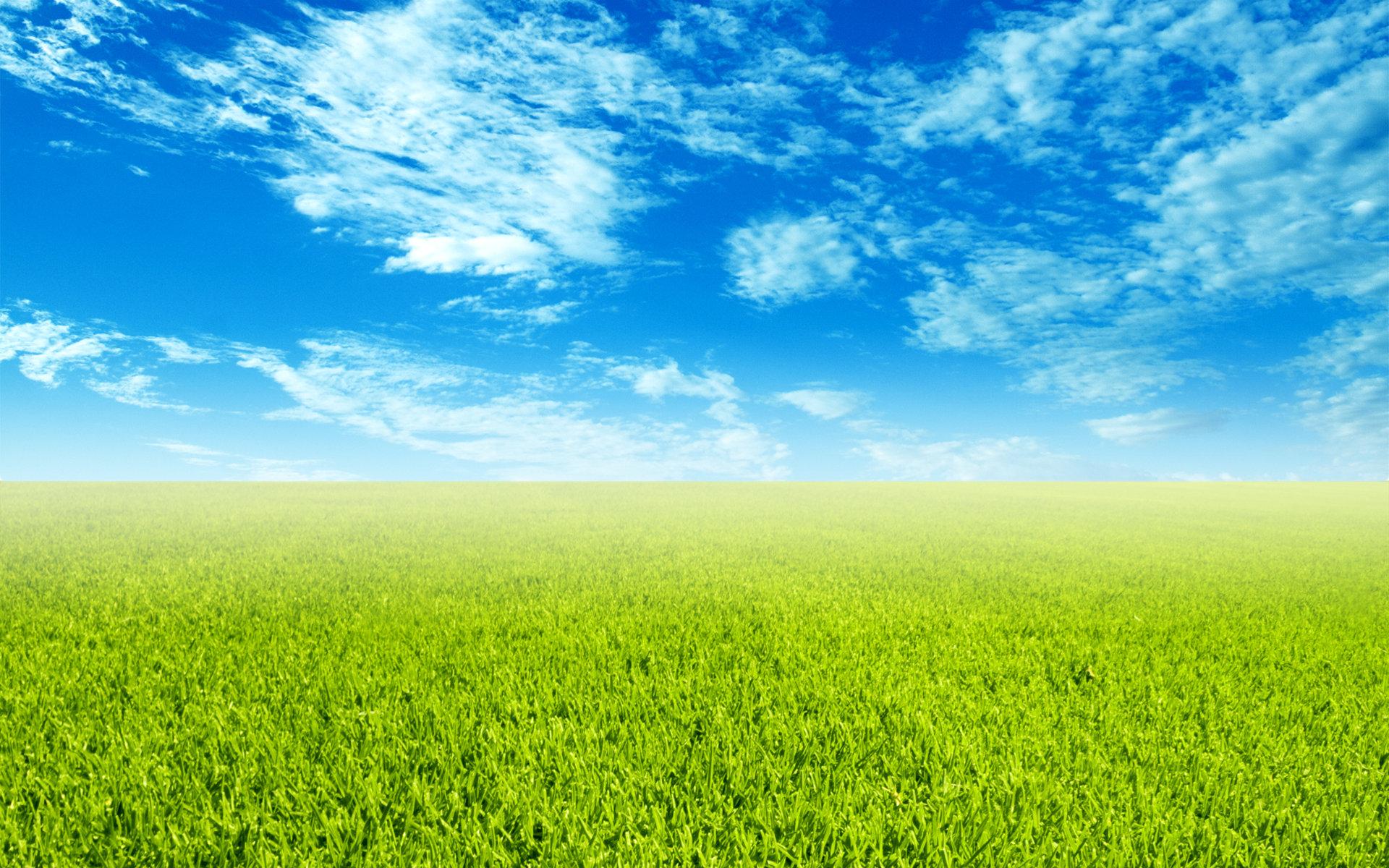 Green Sky Wallpapers Top Free Green Sky Backgrounds WallpaperAccess
