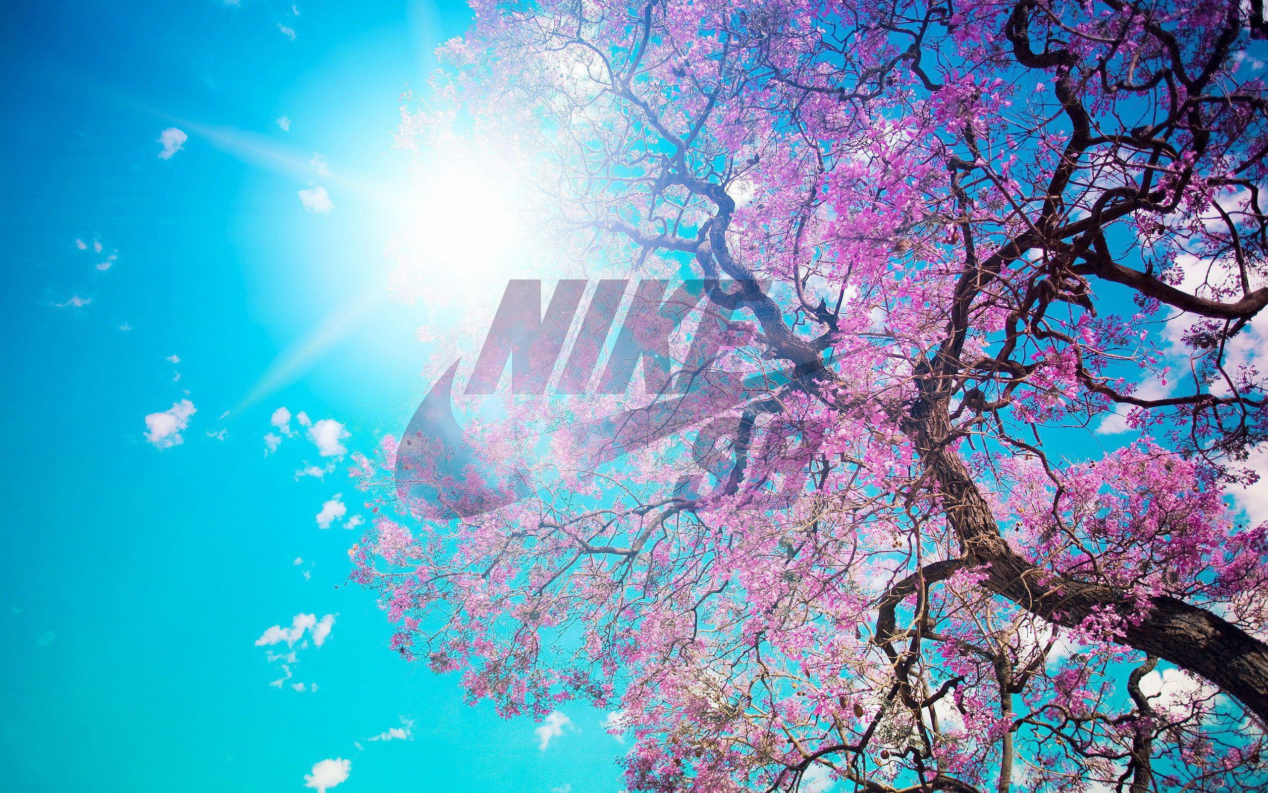 Nike Flower Wallpapers Top Free Nike Flower Backgrounds WallpaperAccess