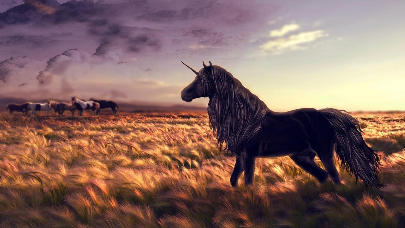 Black Unicorn Desktop Wallpapers Top Free Black Unicorn Desktop