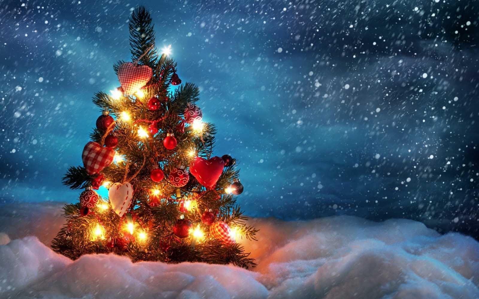 Christmas Nature Wallpapers Top Free Christmas Nature Backgrounds