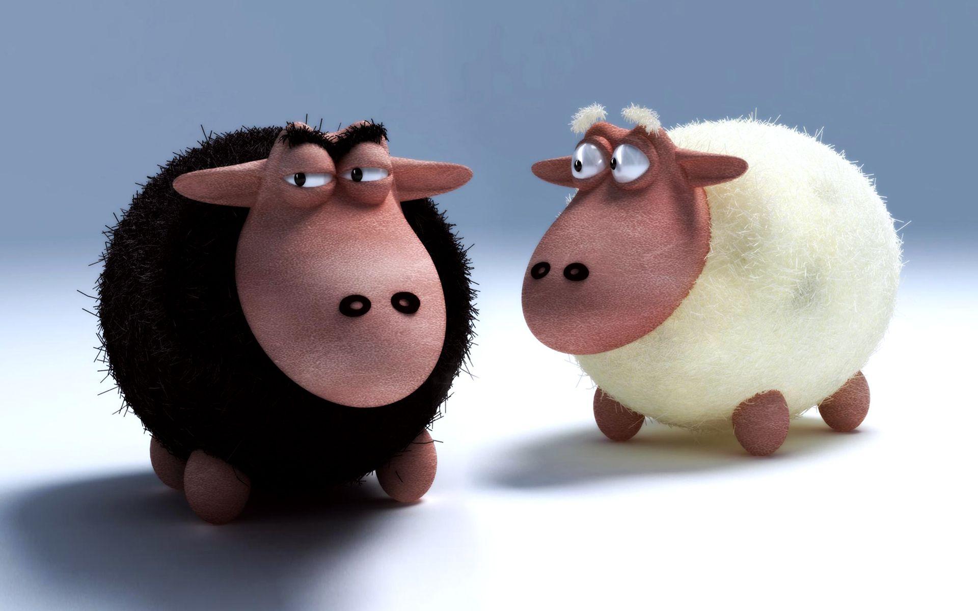 Black Sheep Wallpapers Top Free Black Sheep Backgrounds WallpaperAccess