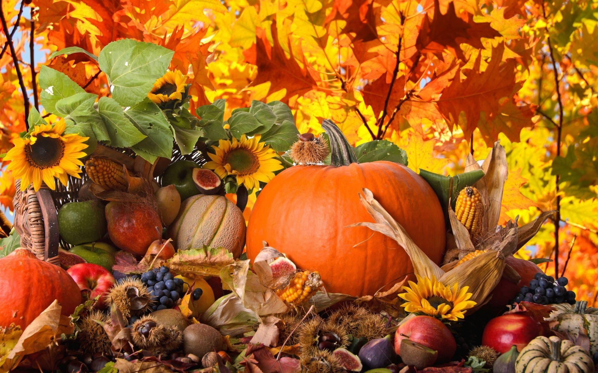 Thanksgiving Wallpapers Top Free Thanksgiving Backgrounds